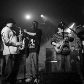 Lettuce - List pictures