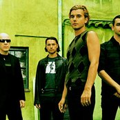 Bush - List pictures