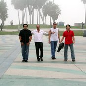 Greenleaf - List pictures