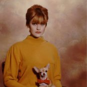 El Perro Del Mar - List pictures