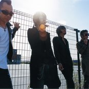 The Birthday - List pictures