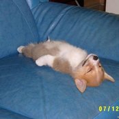 Killing The Dream - List pictures