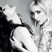 Veronicas - List pictures