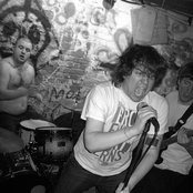 Night Birds - List pictures