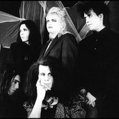 Mephisto Walz - List pictures