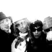 Nelson - List pictures