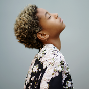 Willow - List pictures