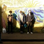 Is Tropical - List pictures