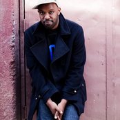 Shad - List pictures