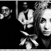 Daisy Chainsaw - List pictures