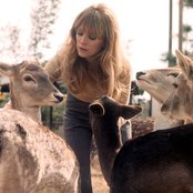 Jackie Deshannon - List pictures