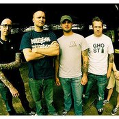 Champion - List pictures