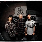 Transplants - List pictures