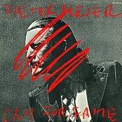 Dieter Meier - List pictures