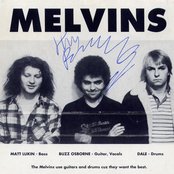 The Melvins - List pictures