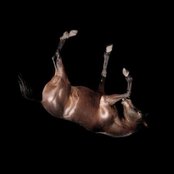 When Saints Go Machine - List pictures