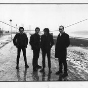 Ruts - List pictures