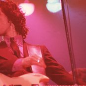 Mink Deville - List pictures