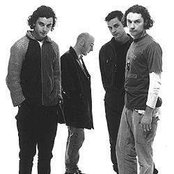 Bush - List pictures