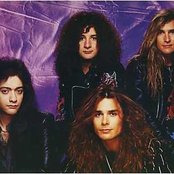 White Lion - List pictures