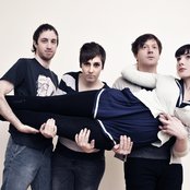 Field Mouse - List pictures