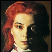 Toyah - List pictures