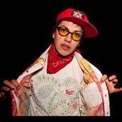 Nopsajalka - List pictures