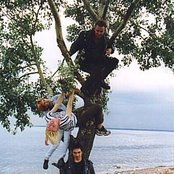 Êîðîëü È Øóò - List pictures