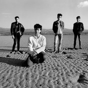 Chameleons - List pictures