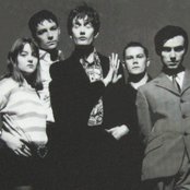 Pulp - List pictures