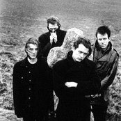 The London Suede - List pictures