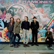 Vetiver - List pictures