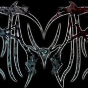 Havok - List pictures