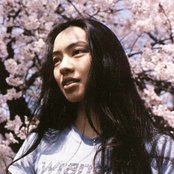 Cocco - List pictures