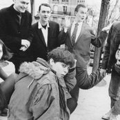 Sugarcubes - List pictures