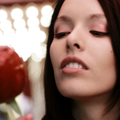 Dimie Cat - List pictures