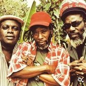 Mighty Diamonds - List pictures