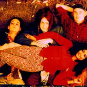 Eden - List pictures