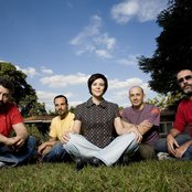 Pato Fu - List pictures