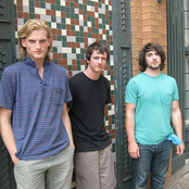 Mimicking Birds - List pictures