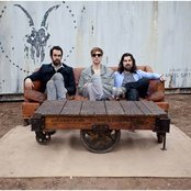 Newvillager - List pictures