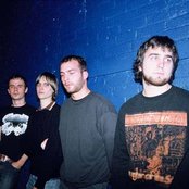 Pelican - List pictures