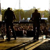 Tiger & Woods - List pictures