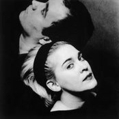 Laika - List pictures