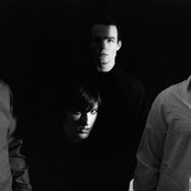 Refused - List pictures