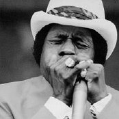 Junior Wells - List pictures