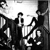 Bauhaus - List pictures