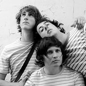 Wombats - List pictures