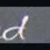 Barbed Wire - List pictures