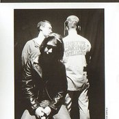 Fudge Tunnel - List pictures